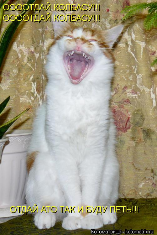 ООООТДАЙ КОЛБАСУ!!! ООООТДАЙ КОЛБАСУ!!! ОТДАЙ АТО ТАК И БУДУ ПЕТЬ!!!... Котоматрица: ООООТДАЙ КОЛБАСУ!!! ООООТДАЙ КОЛБАСУ!!! ОТДАЙ АТО ТАК И БУДУ ПЕТЬ!!!