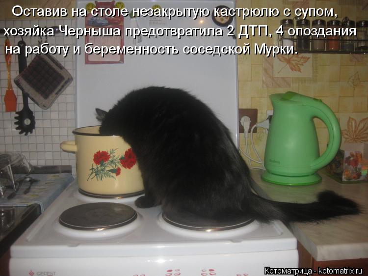 Оставив на столе незакрытую кастрюлю с супом, хозяйка Черныша предотвратила 2 ДТП, 4 опоздания на раб... Котоматрица: Оставив на столе незакрытую кастрюлю с супом, хозяйка Черныша предотвратила 2 ДТП, 4 опоздания на работу и беременность соседской Мурки.