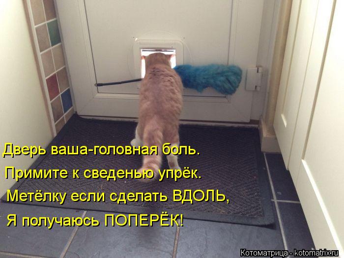Дверь ваша-головная боль. Примите к сведенью упрёк. Метёлку если сделать ВДОЛЬ, Я получаюсь ПОПЕРЁК!... Котоматрица: Дверь ваша-головная боль. Примите к сведенью упрёк. Метёлку если сделать ВДОЛЬ, Я получаюсь ПОПЕРЁК!