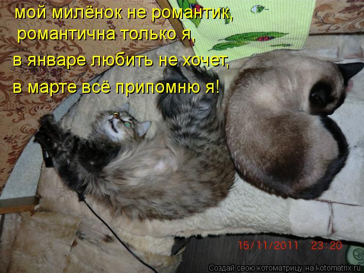 Котоматрица: мой милёнок не романтик, романтична только я, в январе любить не хочет, в марте всё припомню я!