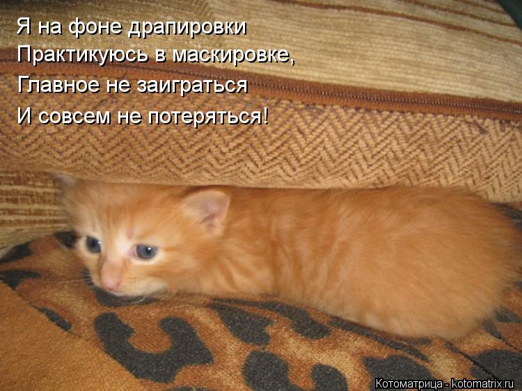 Я на фоне драпировки Практикуюсь в маскировке, Главное не заиграться И совсем не потеряться!... Котоматрица: Я на фоне драпировки Практикуюсь в маскировке, Главное не заиграться И совсем не потеряться!