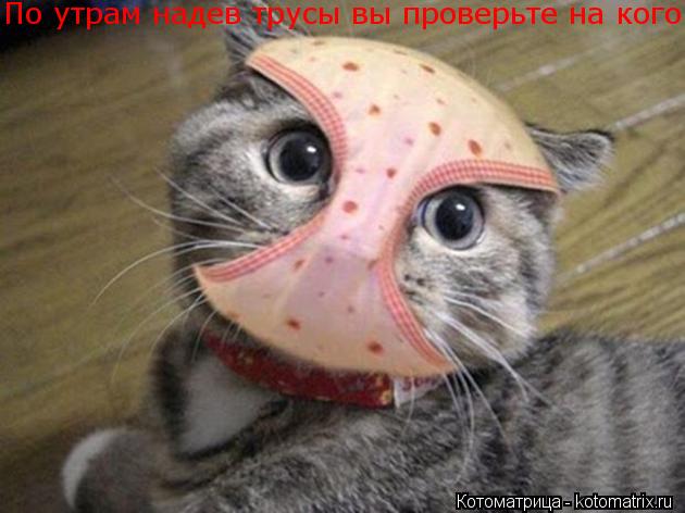 женские колготки м. беляево