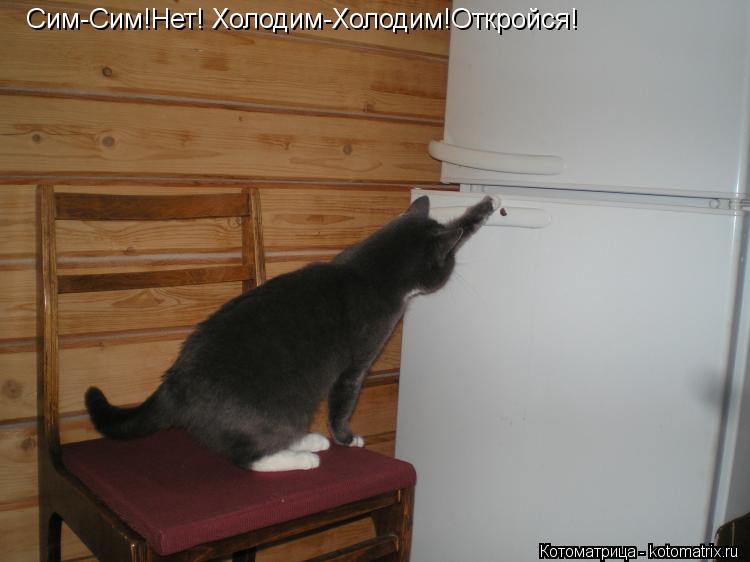 Котоматрица: Сим-Сим!Нет! Холодим-Холодим!Откройся!