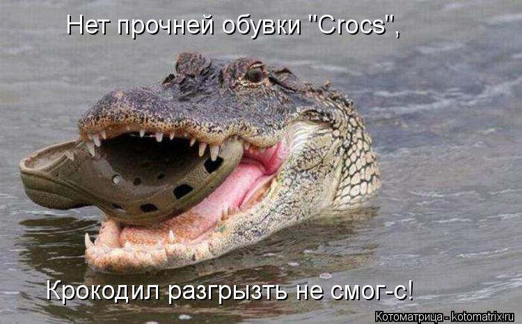Нет прочней обувки "Crocs", Крокодил разгрызть не смог-с!... Котоматрица: Нет прочней обувки "Crocs", Крокодил разгрызть не смог-с!