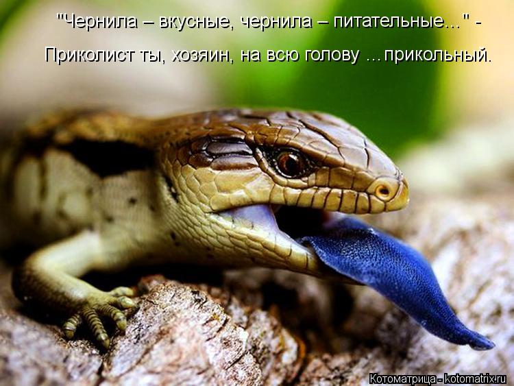 Котоматрица: "Чернила – вкусные, чернила – питательные…" - Приколист ты, хозяин, на всю голову …прикольный.