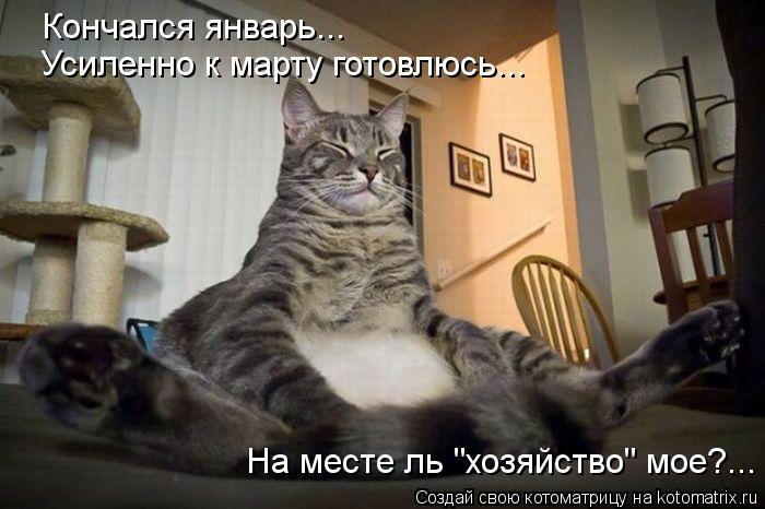 Котоматрица: Кончался январь... Усиленно к марту готовлюсь... На месте ль "хозяйство" мое?...