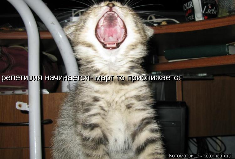 Котоматрица: репетиция начинается- март то приближается