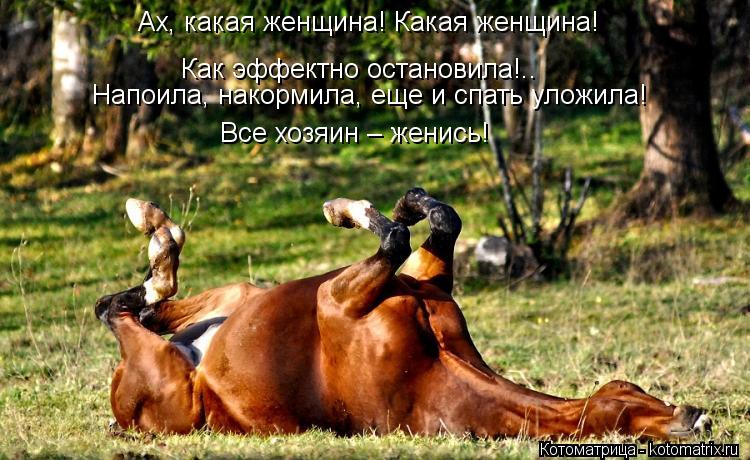 Ах, какая женщина! Какая женщина! Как эффектно остановила!.. Напоила, накормила, еще и спать уложила!... Котоматрица: Ах, какая женщина! Какая женщина! Как эффектно остановила!.. Напоила, накормила, еще и спать уложила! Все хозяин – женись!