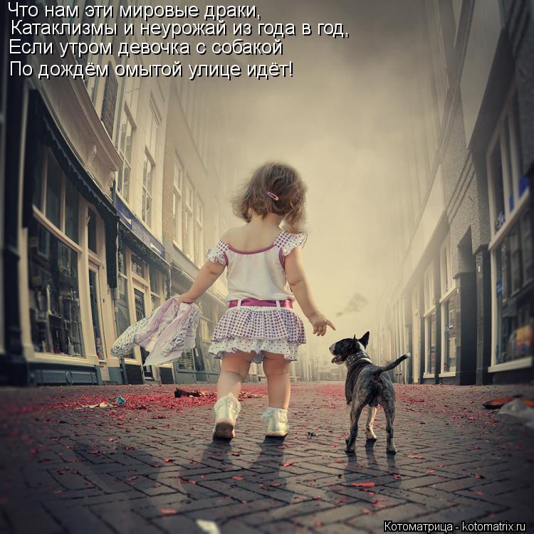 Котоматрица: Что нам эти мировые драки, Катаклизмы и неурожай из года в год, Если утром девочка с собакой По дождём омытой улице идёт!