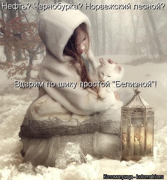 Нефть? Чернобурка? Норвежский лесной? Вдарим по шику простой "Белизной"!... Котоматрица: Нефть? Чернобурка? Норвежский лесной? Вдарим по шику простой "Белизной"!