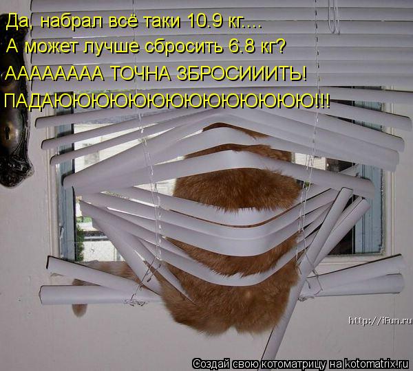 Да, набрал всё таки 10.9 кг.... А может лучше сбросить 6.8 кг? АААААААА ТОЧНА ЗБРОСИИИТЬ! ПАДАЮЮЮЮЮЮЮ... Котоматрица: Да, набрал всё таки 10.9 кг.... А может лучше сбросить 6.8 кг? АААААААА ТОЧНА ЗБРОСИИИТЬ! ПАДАЮЮЮЮЮЮЮЮЮЮЮЮЮЮ!!!