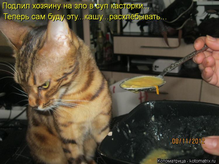 Подлил хозяину на зло в суп касторки... Теперь сам буду эту...кашу...расхлёбывать...... Котоматрица: Подлил хозяину на зло в суп касторки... Теперь сам буду эту...кашу...расхлёбывать...