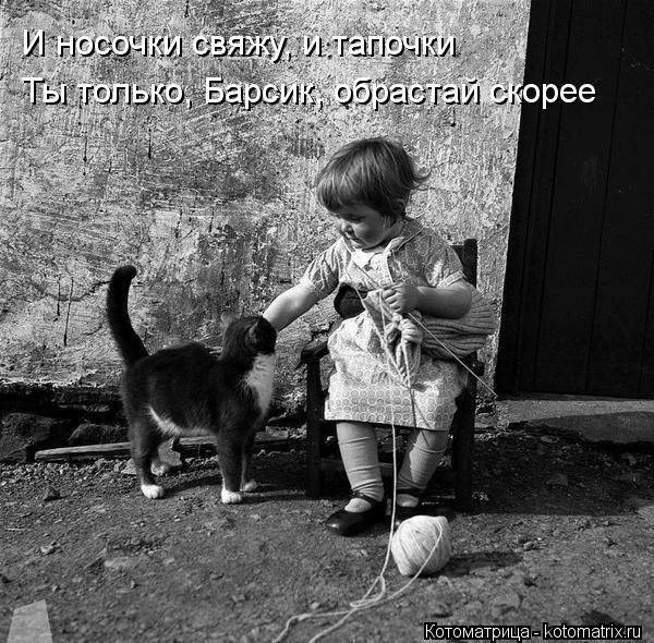Котоматрица: И носочки свяжу, и тапочки Ты только, Барсик, обрастай скорее
