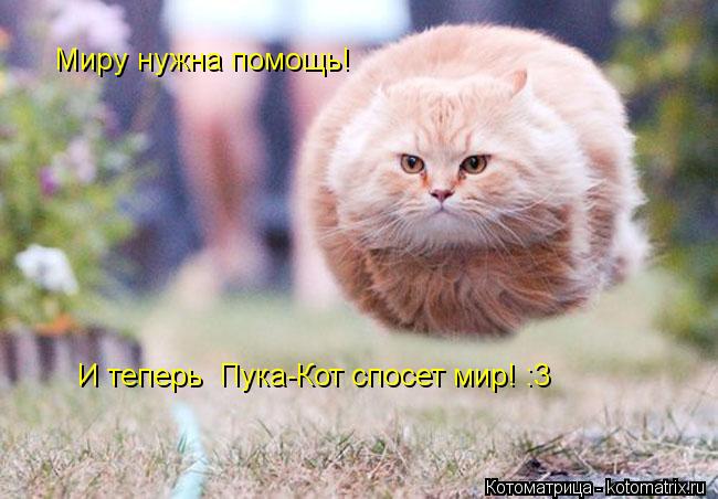 Миру нужна помощь! И теперь Пука-Кот спосет мир! :3... Котоматрица: Миру нужна помощь! И теперь Пука-Кот спосет мир! :3
