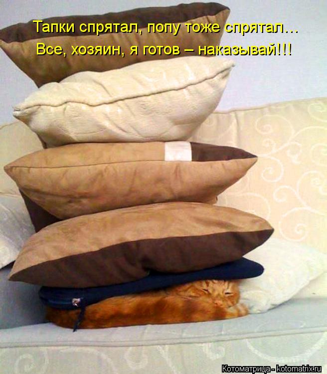 Тапки спрятал, попу тоже спрятал… Все, хозяин, я готов – наказывай!!!... Котоматрица: Тапки спрятал, попу тоже спрятал… Все, хозяин, я готов – наказывай!!!