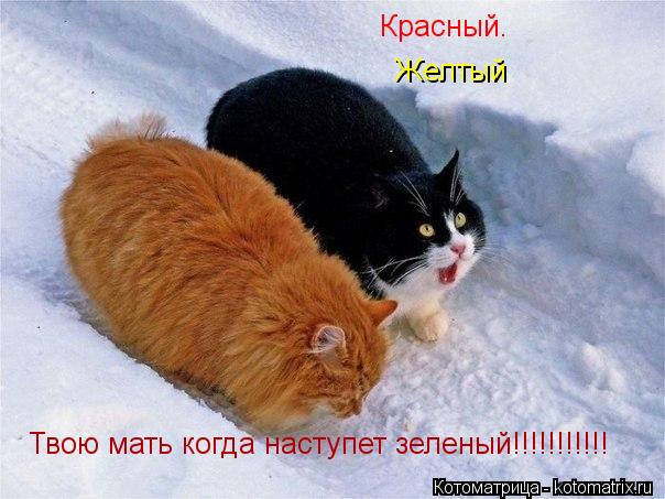 Красный. Желтый Твою мать когда наступет зеленый!!!!!!!!!!!... Котоматрица: Красный. Желтый Твою мать когда наступет зеленый!!!!!!!!!!!