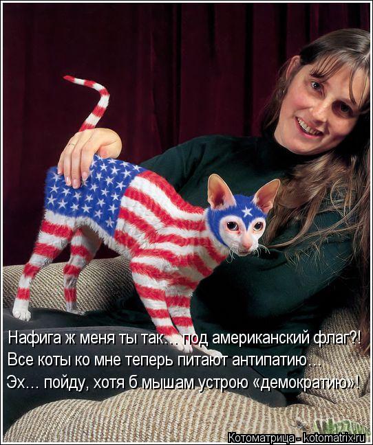 Котоматрица: Нафига ж меня ты так… под американский флаг?! Все коты ко мне теперь питают антипатию… Эх… пойду, хотя б мышам устрою «демократию»!