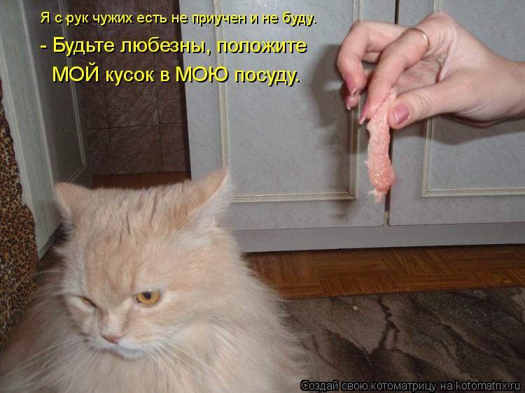 Котоматрица: - Будьте любезны, положите  МОЙ кусок в МОЮ посуду. Я с рук чужих есть не приучен и не буду.
