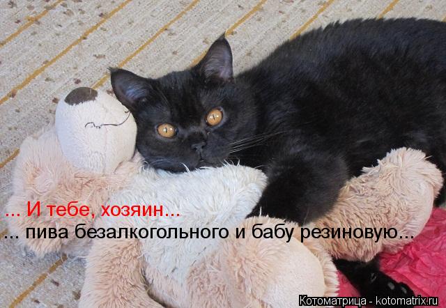 Котоматрица: ... И тебе, хозяин... ... пива безалкогольного и бабу резиновую...