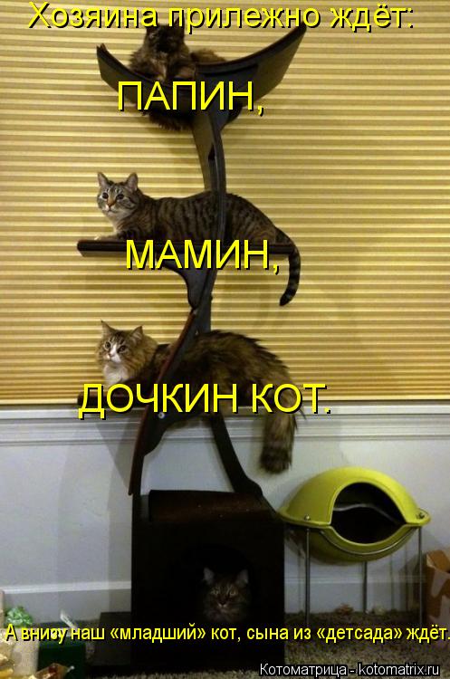 Котоматрица: Хозяина прилежно ждёт: ПАПИН, МАМИН, ДОЧКИН КОТ. А внизу наш «младший» кот, сына из «детсада» ждёт.