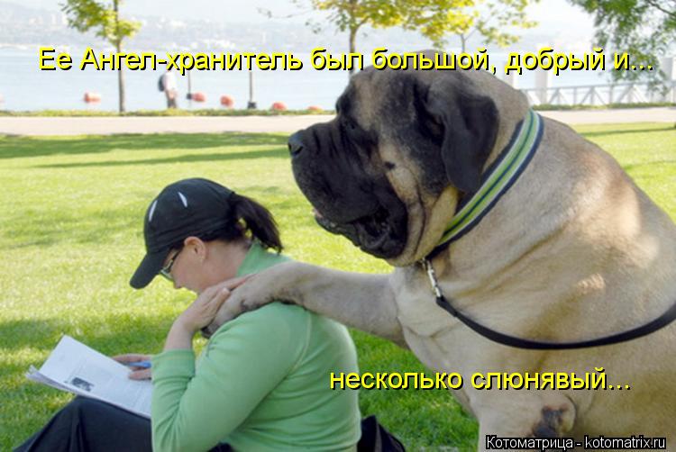 Ее Ангел-хранитель был большой, добрый и... несколько слюнявый...... Котоматрица: Ее Ангел-хранитель был большой, добрый и... несколько слюнявый...