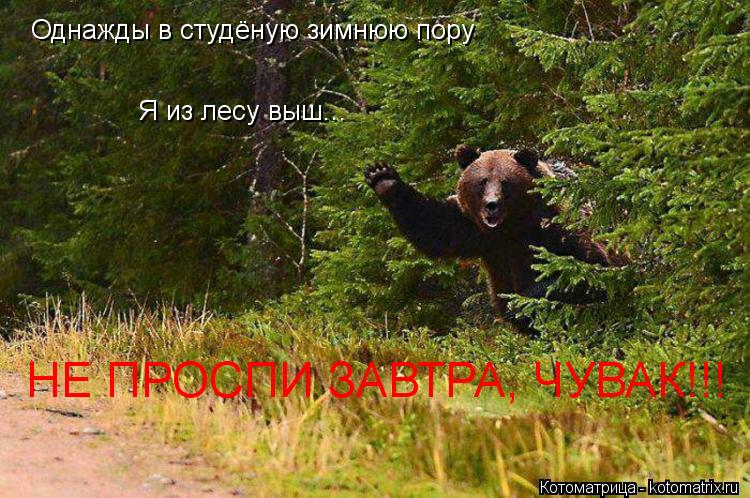 Однажды в студёную зимнюю пору Я из лесу выш... НЕ ПРОСПИ ЗАВТРА, ЧУВАК!!!... Котоматрица: Однажды в студёную зимнюю пору Я из лесу выш... НЕ ПРОСПИ ЗАВТРА, ЧУВАК!!!