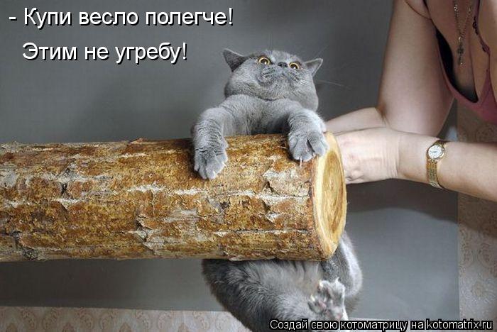 Котоматрица: - Купи весло полегче!  Этим не угребу!