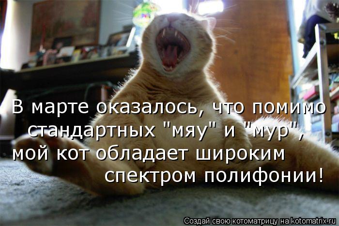 Котоматрица: В марте оказалось, что помимо  мой кот обладает широким спектром полифонии! стандартных "мяу" и "мур",