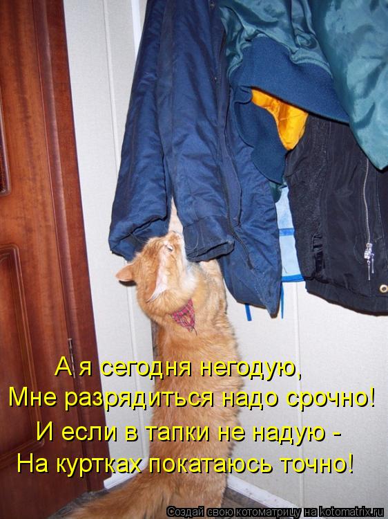 Котоматрица: Мне разрядиться надо срочно! И если в тапки не надую - На куртках покатаюсь точно! А я сегодня негодую,