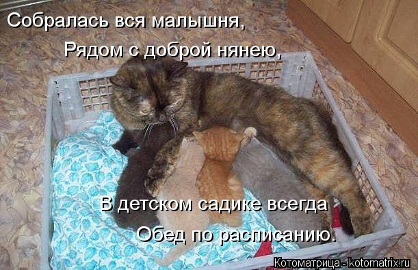 Котоматрица: Собралась вся малышня, Рядом с доброй нянею, В детском садике всегда Обед по расписанию.