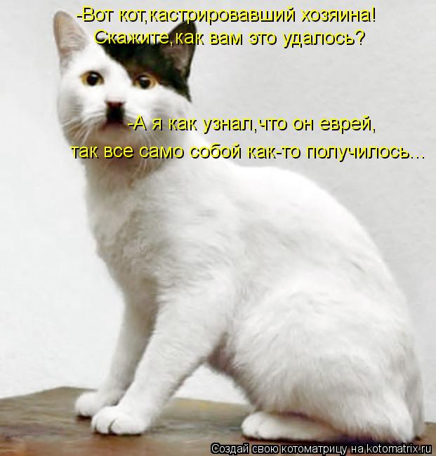 Котоматрица: -Вот кот,кастрировавший хозяина! Скажите,как вам это удалось? -А я как узнал,что он еврей, так все само собой как-то получилось...