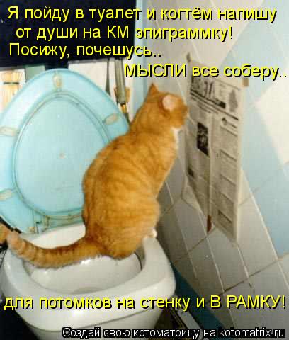 Котоматрица: Я пойду в туалет и когтём напишу от души на КМ эпиграммку! Посижу, почешусь.. МЫСЛИ все соберу.. для потомков на стенку и В РАМКУ!