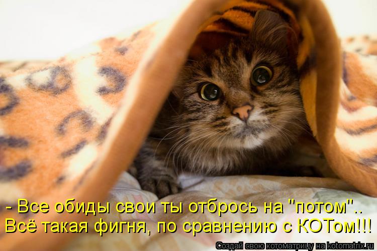 - Все обиды свои ты отбрось на "потом".. Всё такая фигня, по сравнению с КОТом!!!... Котоматрица: - Все обиды свои ты отбрось на "потом".. Всё такая фигня, по сравнению с КОТом!!!