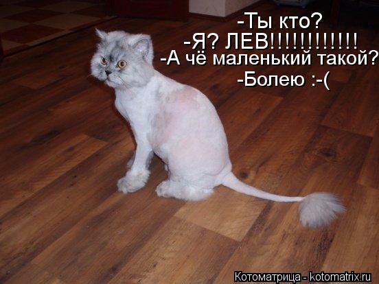 - ? -? !!!!!!!!!!!! -   ? - :-(