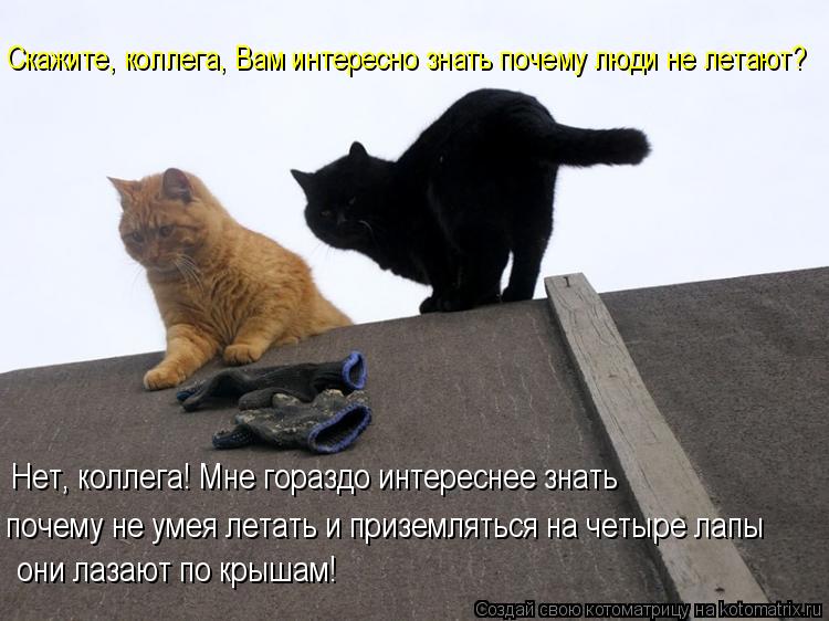 Скажите, коллега, Вам интересно знать почему люди не летают? Нет, коллега! Мне гораздо интереснее зна... Котоматрица: Скажите, коллега, Вам интересно знать почему люди не летают? Нет, коллега! Мне гораздо интереснее знать почему не умея летать и приземлятьс