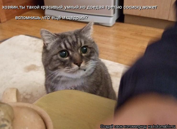 хозяин,ты такой красивый,умный,но доедая третью сосиску,может вспомнишь,что ещё и щедрый?... Котоматрица: хозяин,ты такой красивый,умный,но доедая третью сосиску,может вспомнишь,что ещё и щедрый?