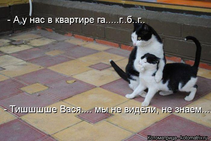 - Тишшшше Вася.... мы не видели, не знаем.... - А у нас в квартире га.....г..б..г..... Котоматрица: - Тишшшше Вася.... мы не видели, не знаем.... - А у нас в квартире га.....г..б..г..