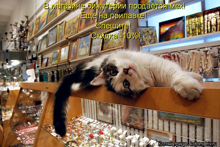 В магазине бижутерии продаётся мех! Ещё на прилавке! Спешите! Скидка -10%!... Котоматрица: В магазине бижутерии продаётся мех! Ещё на прилавке! Спешите! Скидка -10%!