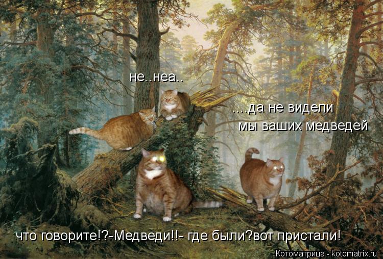 Котоматрица: не..неа.. ....да не видели мы ваших медведей что говорите!?-Медведи!!- где были?вот пристали!