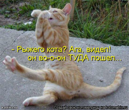 Котоматрица: - Рыжего кота? Ага, видел! он во-о-он ТУДА пошел...