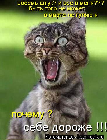 восемь штук? и все в меня??? быть того не может в марте не гуляю я почему ? себе дороже !!!... Котоматрица: восемь штук? и все в меня??? быть того не может в марте не гуляю я почему ? себе дороже !!!