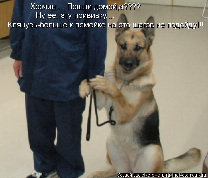 Хозяин.... Пошли домой,а???? Ну ее, эту прививку.... Клянусь-больше к помойке на сто шагов не подойду... Котоматрица: Хозяин.... Пошли домой,а???? Ну ее, эту прививку.... Клянусь-больше к помойке на сто шагов не подойду!!!