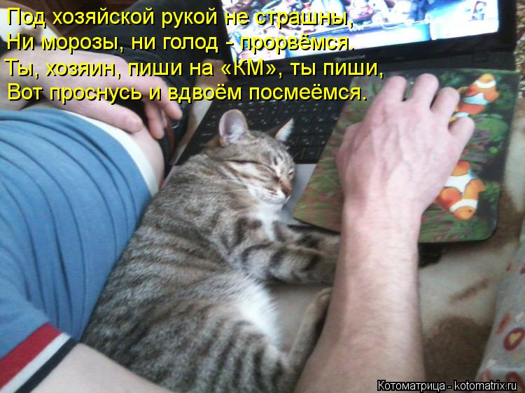 Котоматрица: Под хозяйской рукой не страшны, Ни морозы, ни голод - прорвёмся. Ты, хозяин, пиши на «КМ», ты пиши, Вот проснусь и вдвоём посмеёмся.