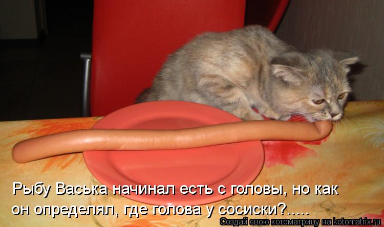 Рыбу Васька начинал есть с головы, но как он определял, где голова у сосиски?........ Котоматрица: Рыбу Васька начинал есть с головы, но как он определял, где голова у сосиски?.....