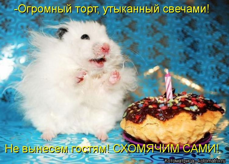 -Огромный торт, утыканный свечами! Не вынесем гостям! СХОМЯЧИМ САМИ!... Котоматрица: -Огромный торт, утыканный свечами! Не вынесем гостям! СХОМЯЧИМ САМИ!
