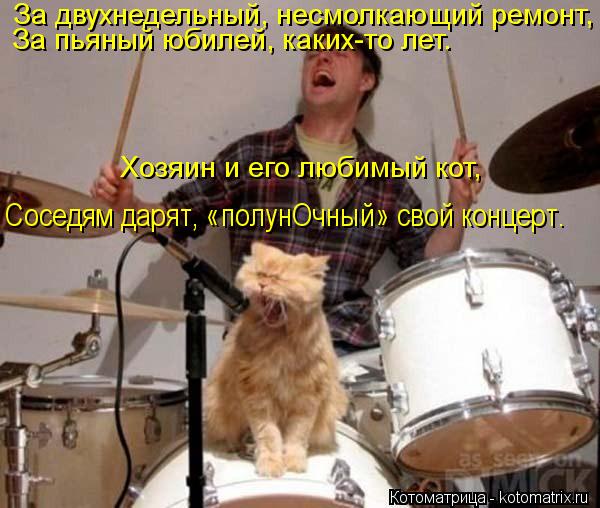 Соседям дарят, «полунОчный» свой концерт. За двухнедельный, несмолкающий ремонт, Хозяин и его любимы... Котоматрица: Соседям дарят, «полунОчный» свой концерт. За двухнедельный, несмолкающий ремонт, Хозяин и его любимый кот, За пьяный юбилей, каких-то лет.