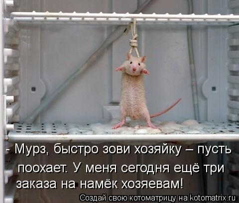 Котоматрица: - Мурз, быстро зови хозяйку – пусть поохает. У меня сегодня ещё три заказа на намёк хозяевам!