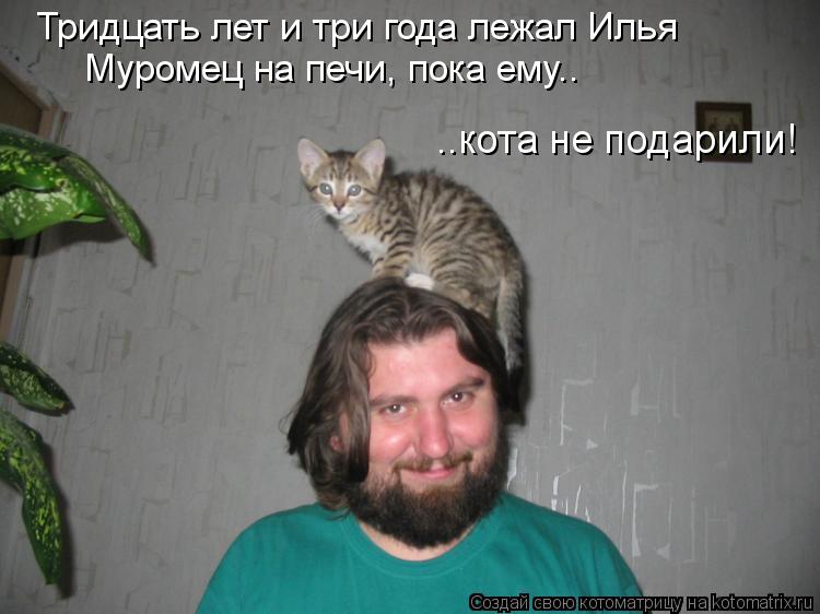 Котоматрица: Тридцать лет и три года лежал Илья Муромец на печи, пока ему.. ..кота не подарили!