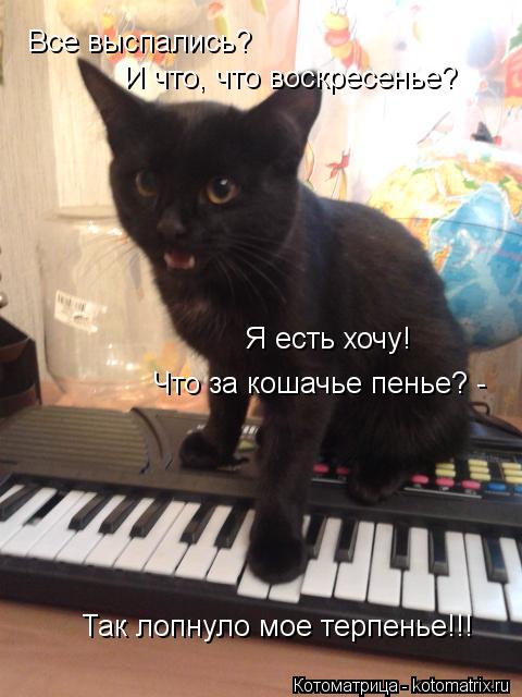 Все выспались? И что, что воскресенье? Я есть хочу! Что за кошачье пенье? - Так лопнуло мое терпенье... Котоматрица: Все выспались? И что, что воскресенье? Я есть хочу! Что за кошачье пенье? - Так лопнуло мое терпенье!!!