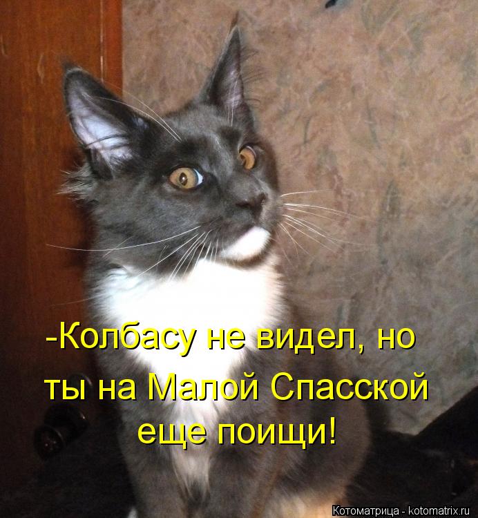 Котоматрица: -Колбасу не видел, но  ты на Малой Спасской  еще поищи!